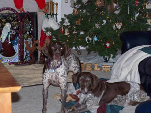 Bess/Andie at Christmas